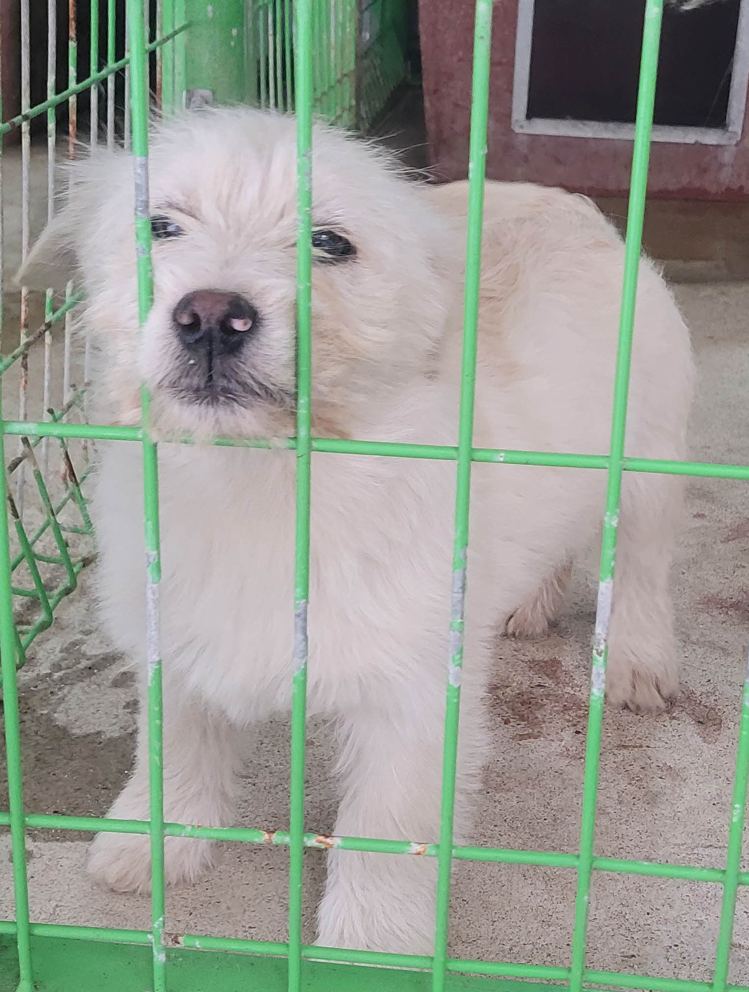 울진군동물보호센터_447525202400018
