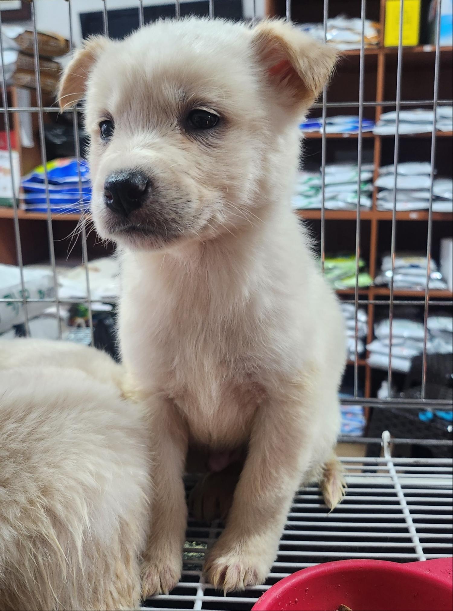 종합축산_447512202400128