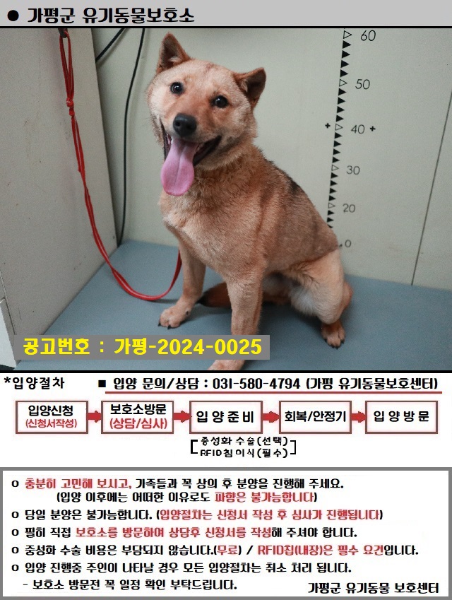 가평군유기동물보호소_441416202400025