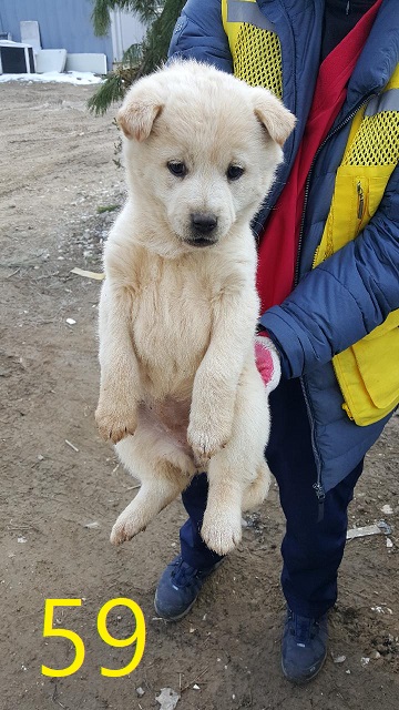 신영재동물병원_428355202400060