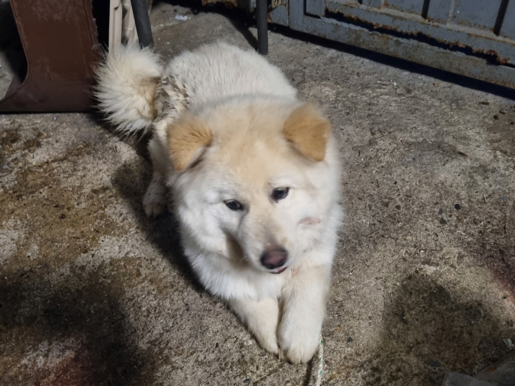 프렌즈동물병원_445464202400579