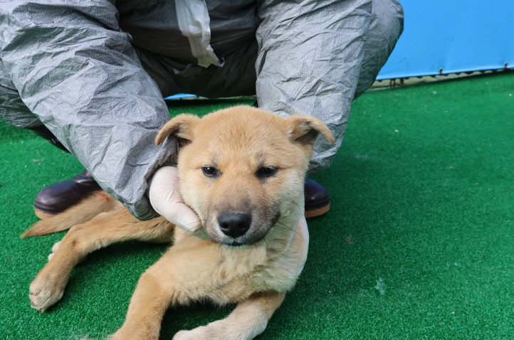제주 동물보호센터_450650202400660