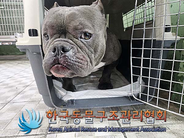 종료(반환) 아메리…