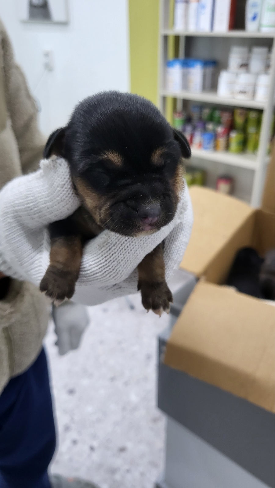 태민동물병원_448548202400141
