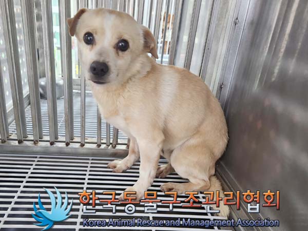 한국동물구조관리협회_441406202400235