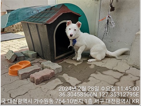 대전동물보호센터_430366202400050