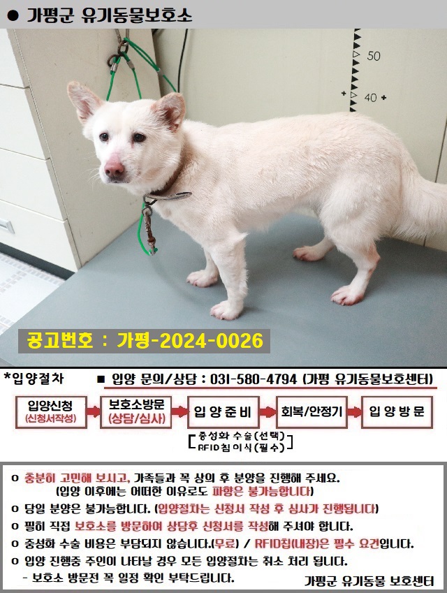 가평군유기동물보호소_441416202400026