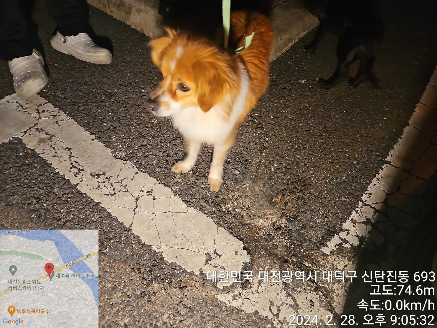 대전동물보호센터_430368202400039