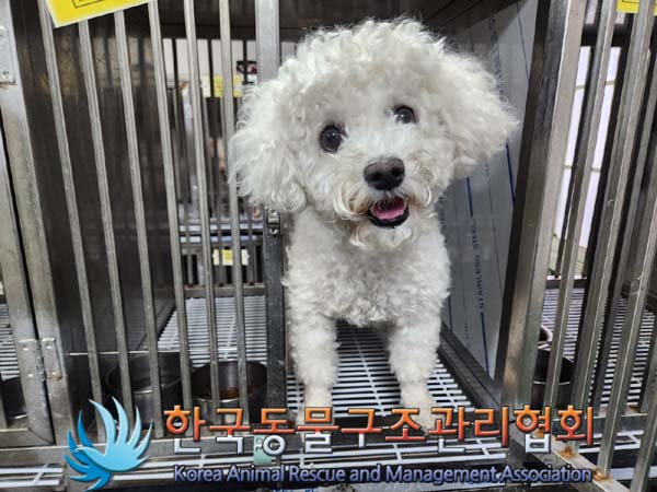 한국동물구조관리협회_411322202400015
