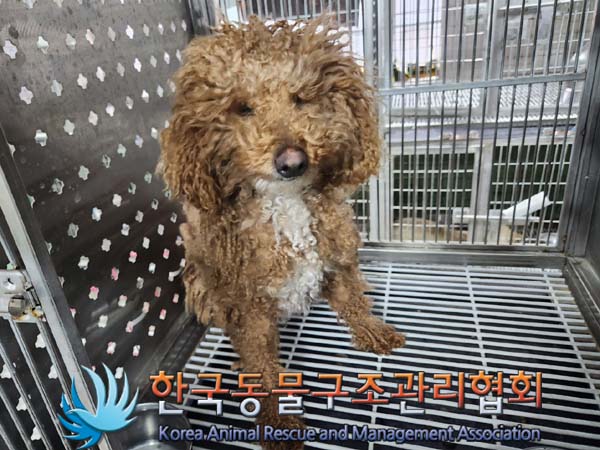 한국동물구조관리협회_441406202400245