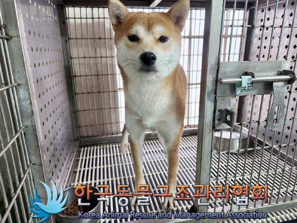 한국동물구조관리협회_411304202400016