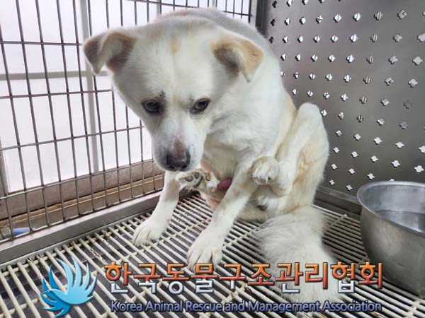 한국동물구조관리협회_441409202400245