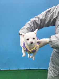 제주 동물보호센터_450650202400698
