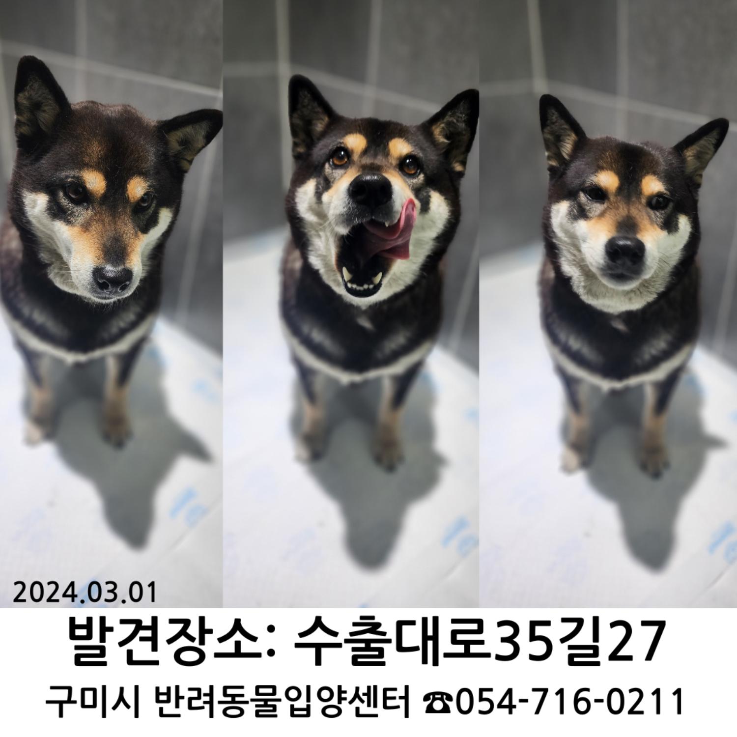 반려동물 입양센터_447508202400266