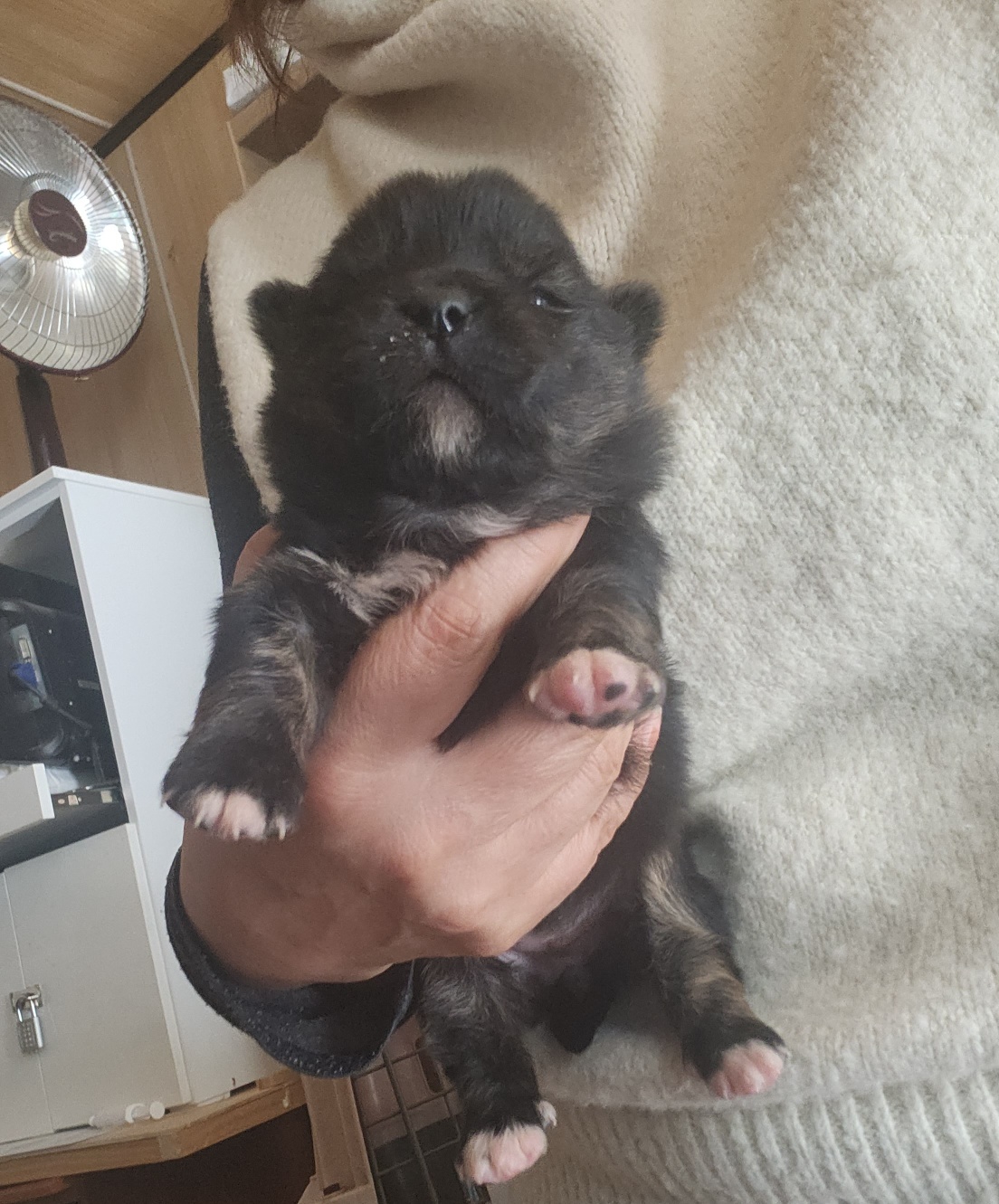 울산유기동물보호센터_431373202400105