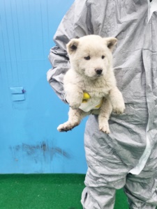제주 동물보호센터_450650202400700