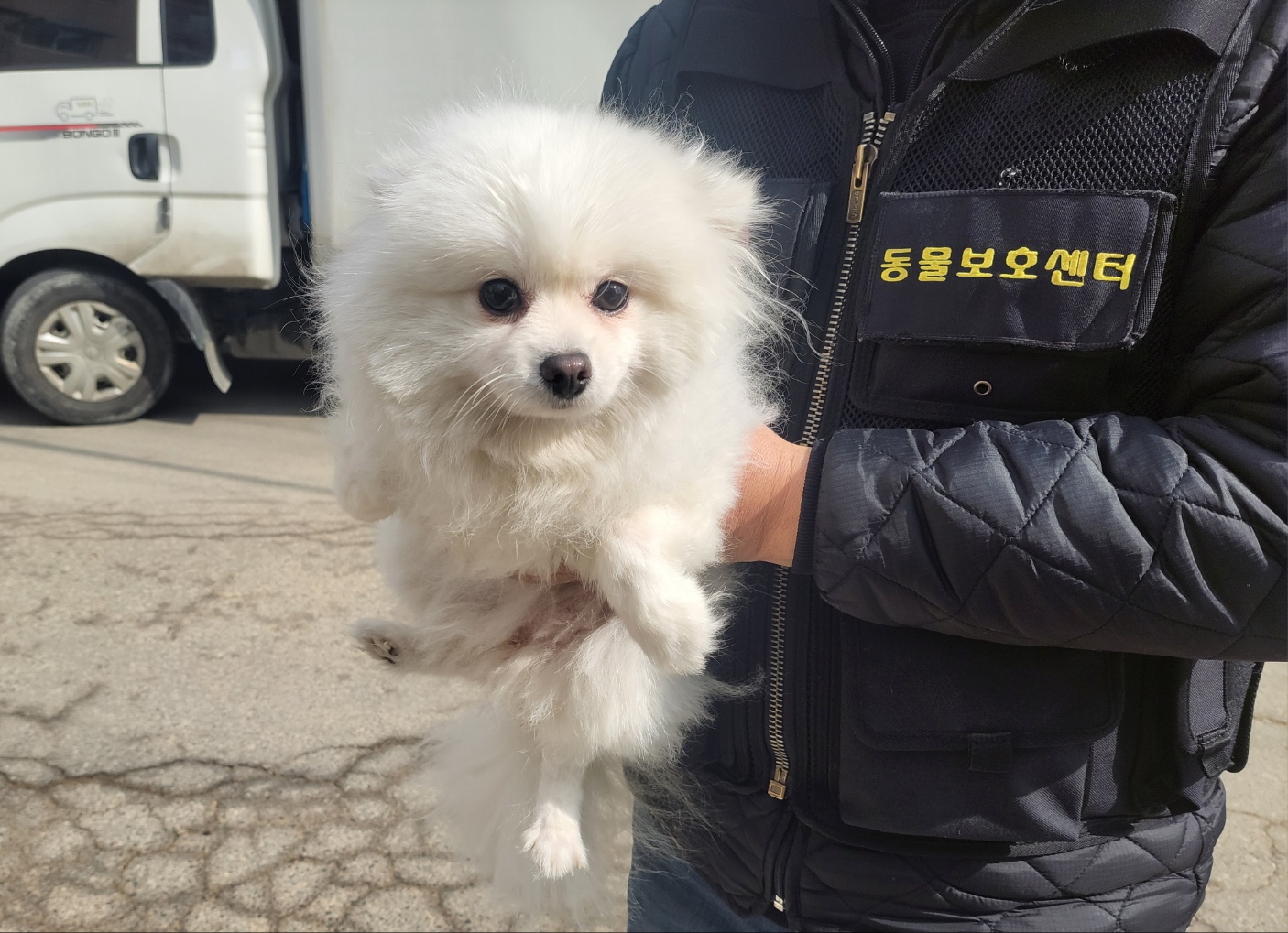 고양시동물보호센터_441394202400186