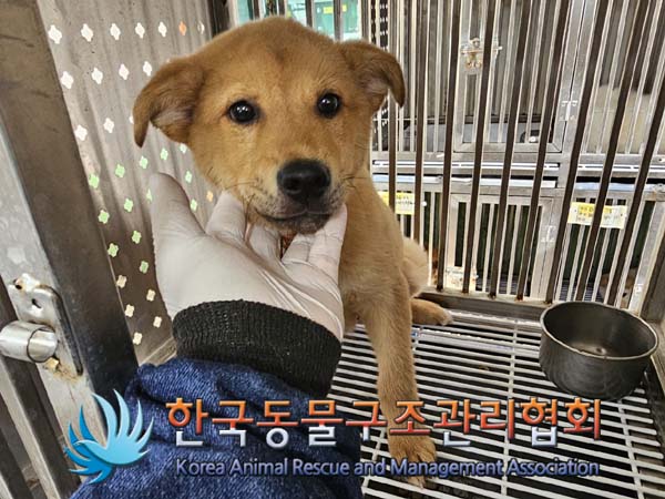 한국동물구조관리협회_411307202400019