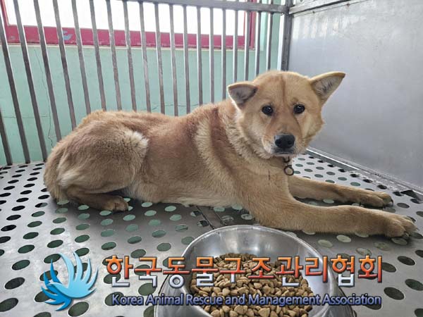 한국동물구조관리협회_441414202400090
