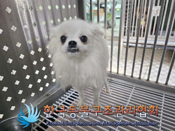 한국동물구조관리협회_411318202400006