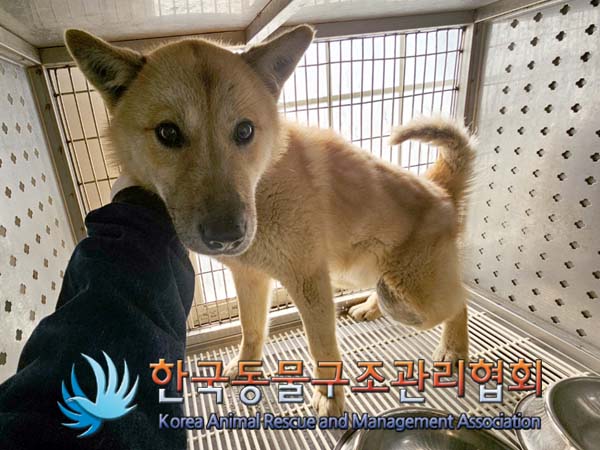 한국동물구조관리협회_441559202400120