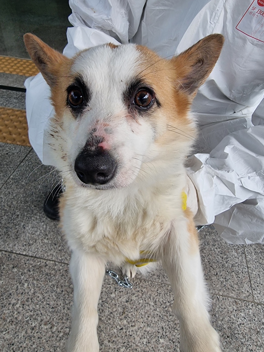 구미시 동물보호센터_447508202400279