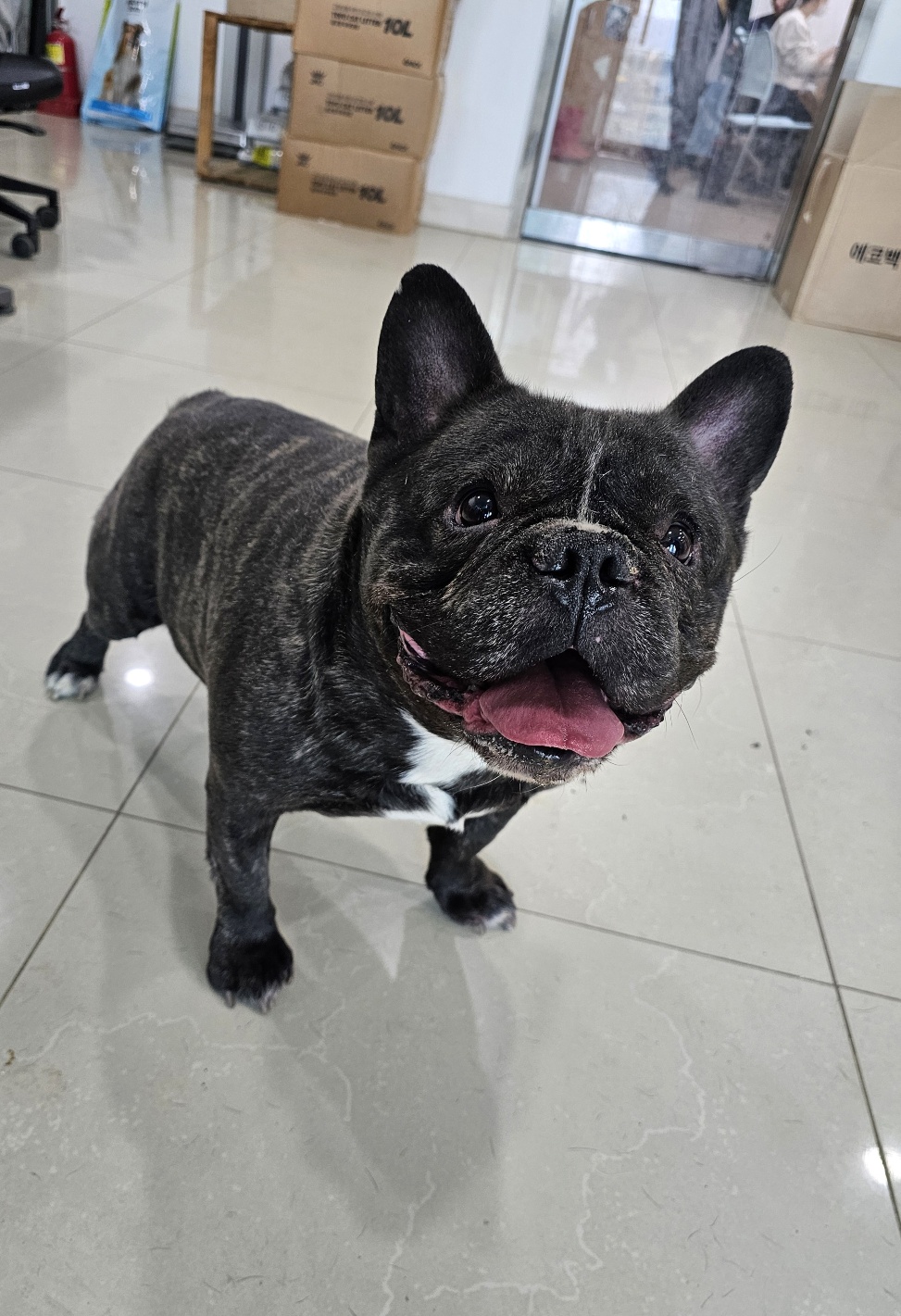 반려동물보호센터_443571202400189