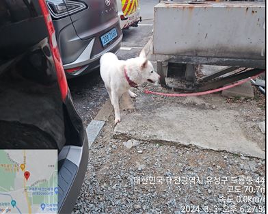 대전동물보호센터_430367202400105