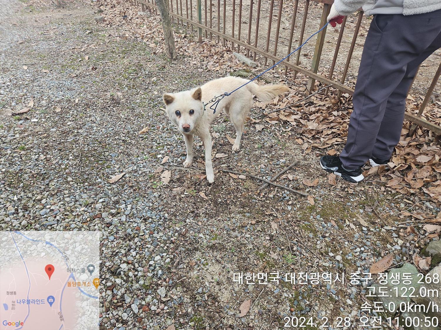 대전동물보호센터_430365202400047
