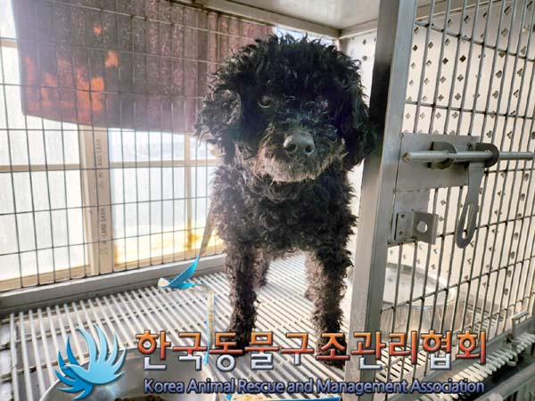 한국동물구조관리협회_411311202400054