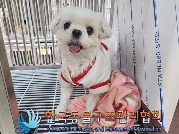 한국동물구조관리협회_411316202400056