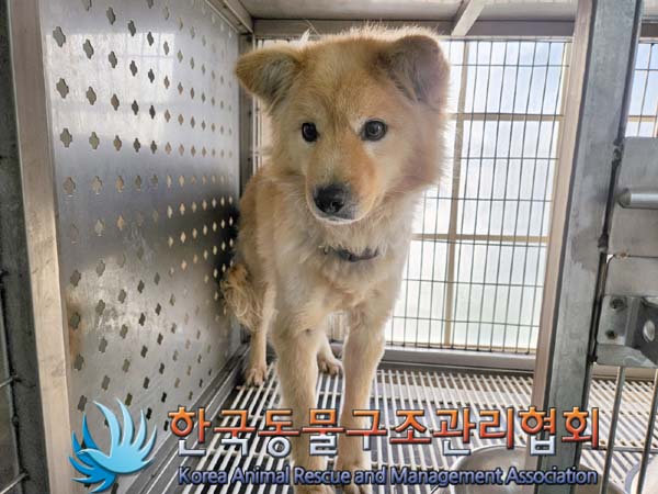 한국동물구조관리협회_411309202400017