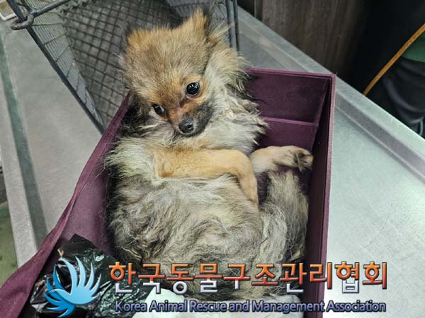 한국동물구조관리협회_411318202400007
