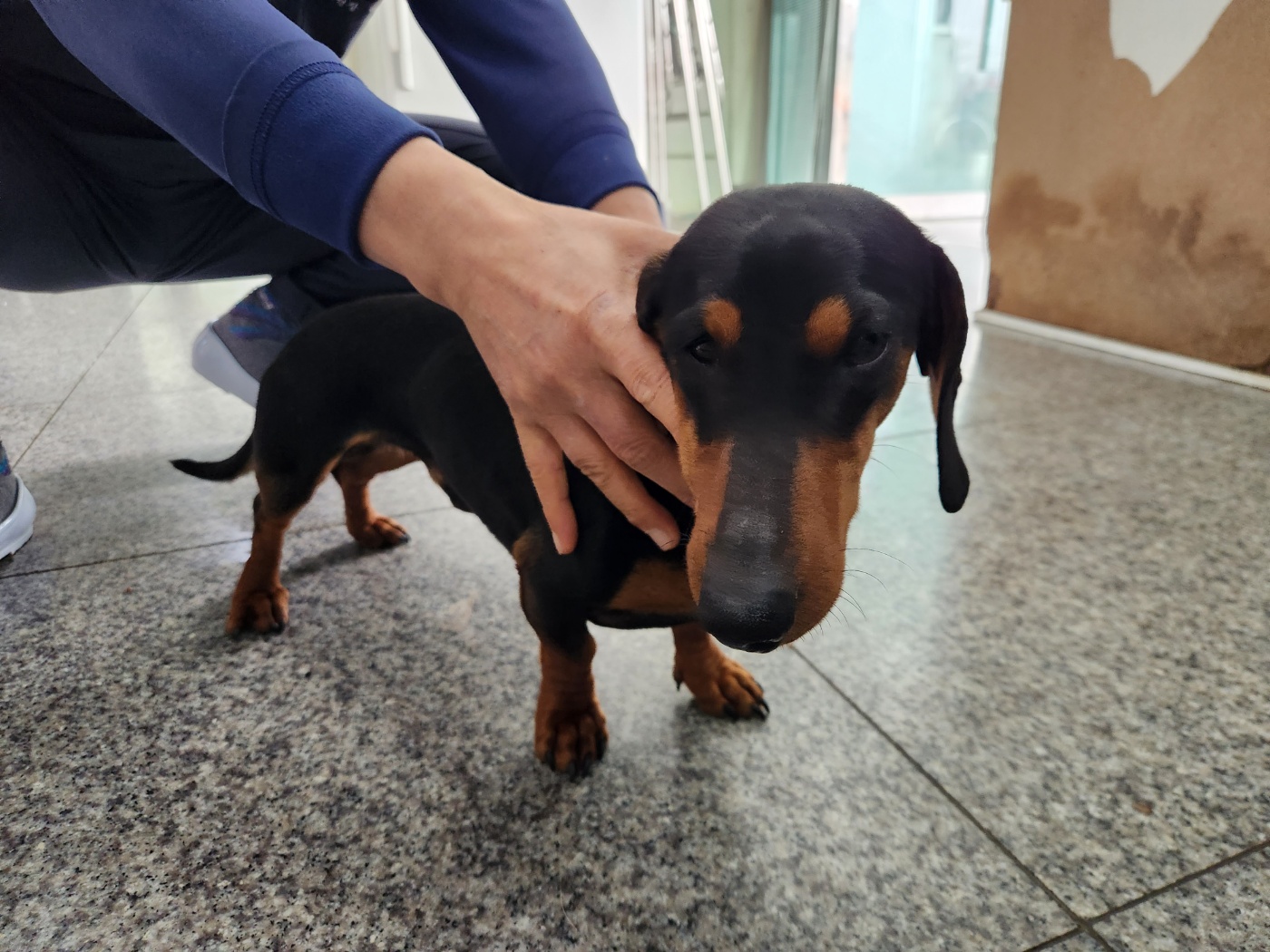 광주 동물보호소_429363202400106