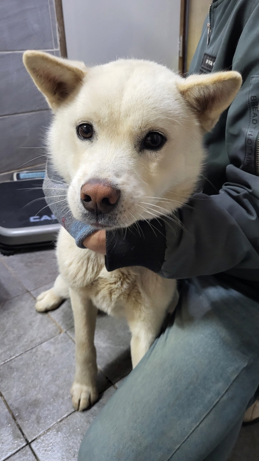 이성준동물병원_441408202400158