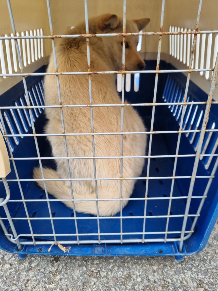 군위종합동물병원_427514202400114