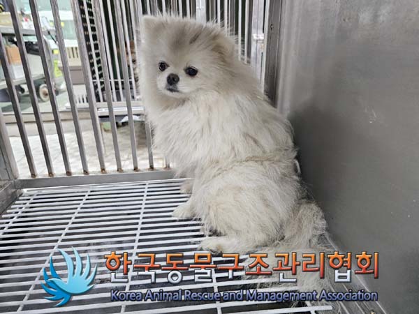 한국동물구조관리협회_411307202400052