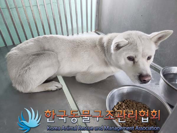 한국동물구조관리협회_441409202400278