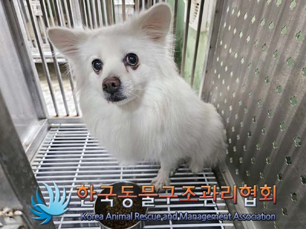 한국동물구조관리협회_411323202400132