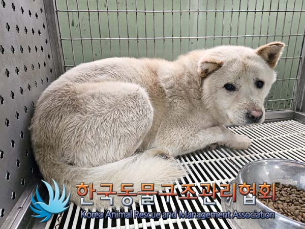 한국동물구조관리협회_411317202400022