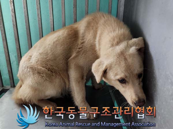 한국동물구조관리협회_411317202400023