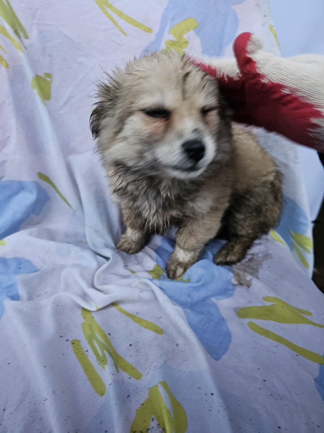 군위종합동물병원_427514202400120