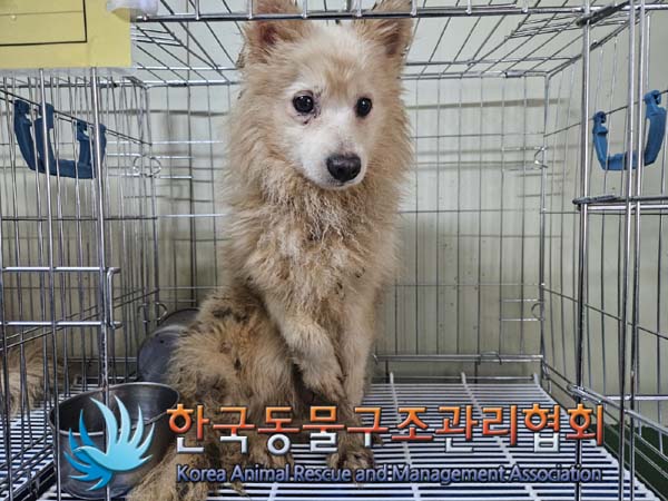 한국동물구조관리협회_411305202400038