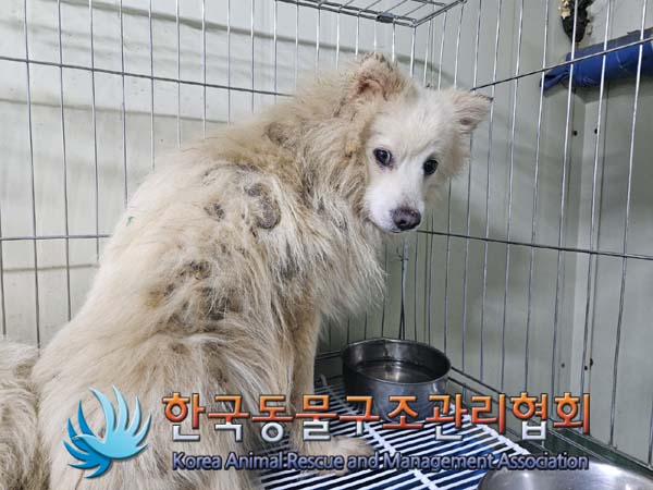 한국동물구조관리협회_411305202400044