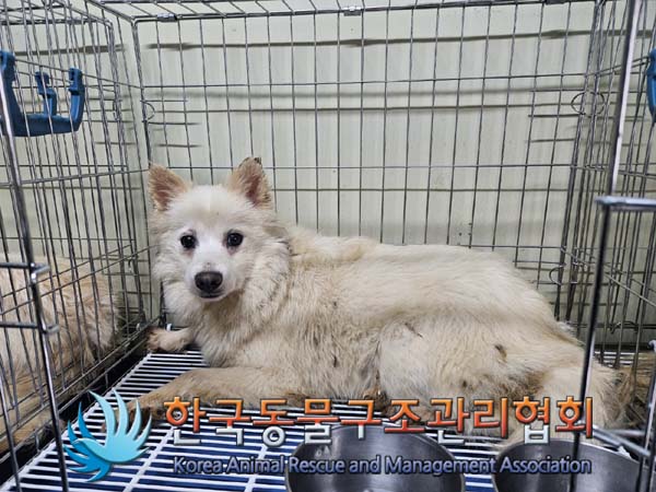 한국동물구조관리협회_411305202400046