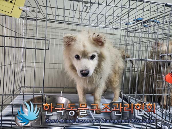 한국동물구조관리협회_411305202400047
