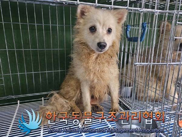 한국동물구조관리협회_411305202400040