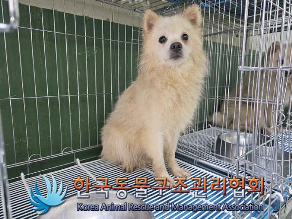 한국동물구조관리협회_411305202400049