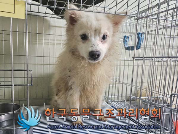 한국동물구조관리협회_411305202400035