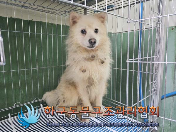 한국동물구조관리협회_411305202400050